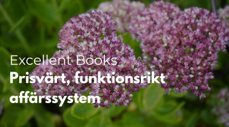 Excellent Books ett nytt funktionsrikt, prisvärt affärssystem i molnet från Systemstöd