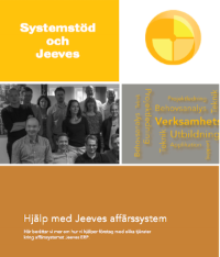 Systemstöd och Jeeves ERP