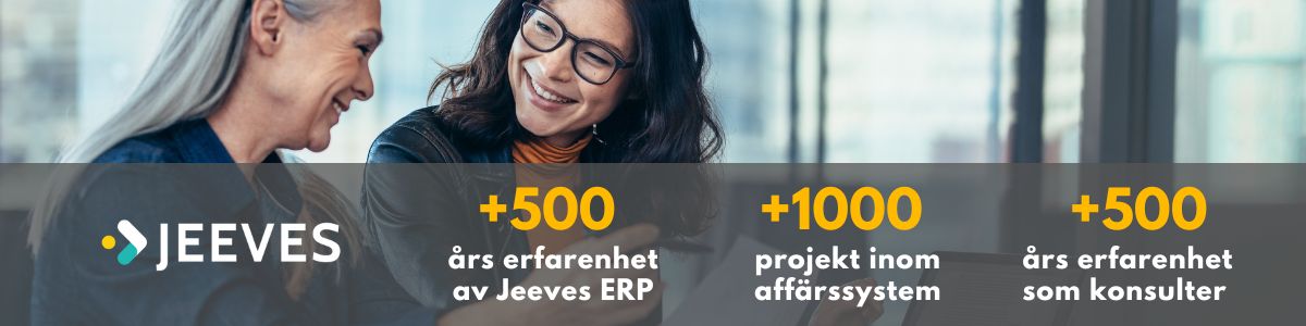 Jeeves ERP konsulter, utvecklare och tekniker med lång erfarenhet och verksamhetskompetens från Systemstöd