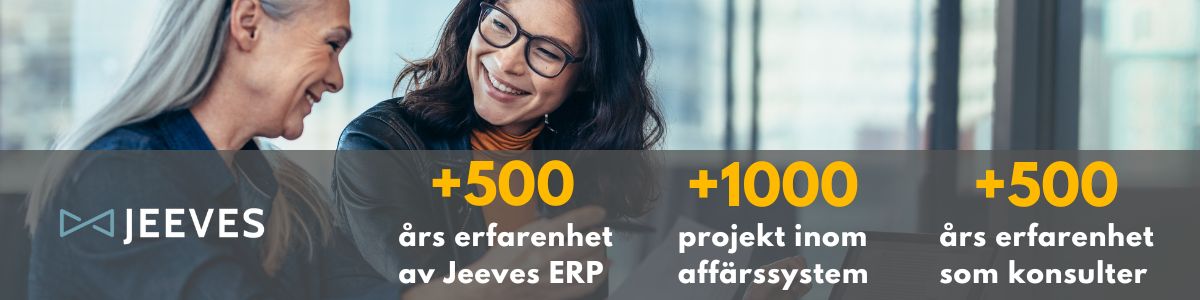 Jeeves ERP konsulter, utvecklare och tekniker med lång erfarenhet och verksamhetskompetens