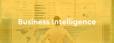 Standard ERP by HansaWorld BI och Business Intelligence