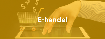 Standard ERP by HansaWorld e-handel